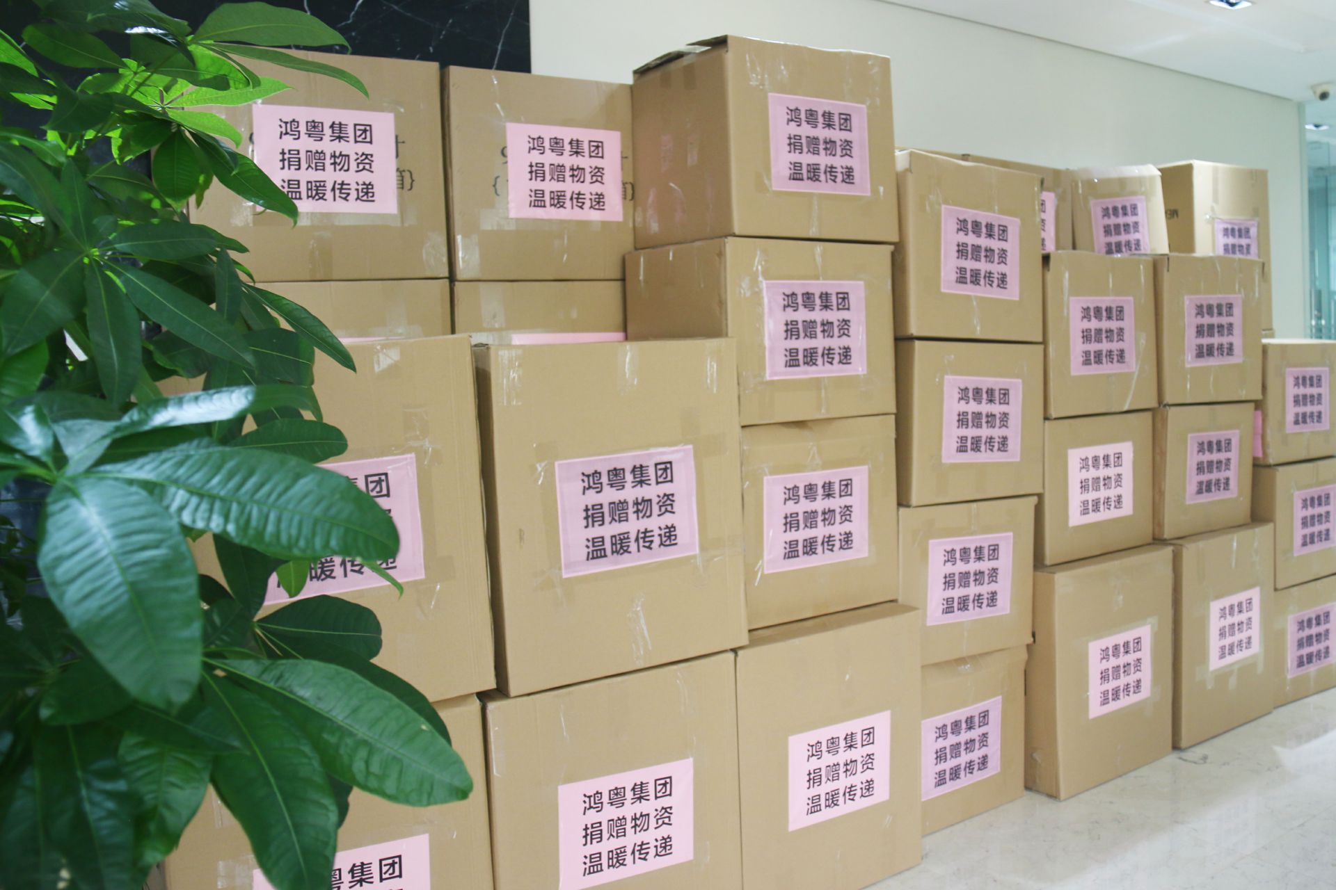 乐动体育·官方端网站-乐动体育(中国)公益回顾丨家国同欢月同圆 温暖满载甘孜州(图1)